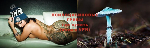 дмт Абинск