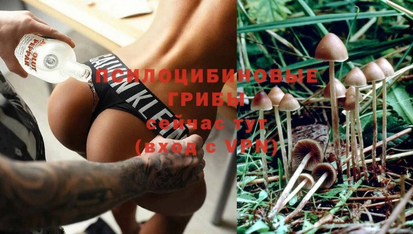дмт Абинск
