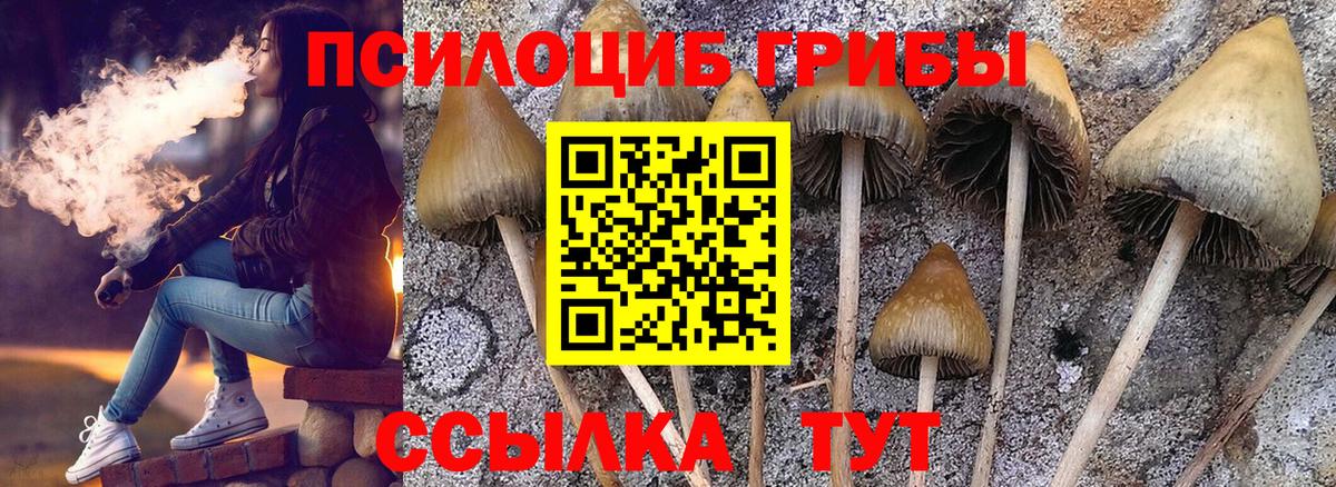 Галлюциногенные грибы GOLDEN TEACHER Шахты