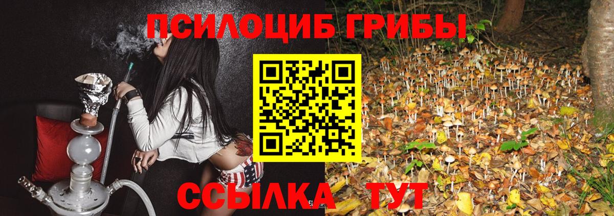 Псилоцибиновые грибы ЛСД  Вход с VPN  Шахты 